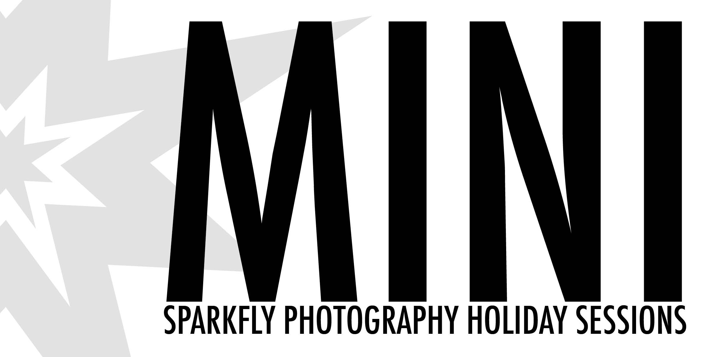 mini holiday logo